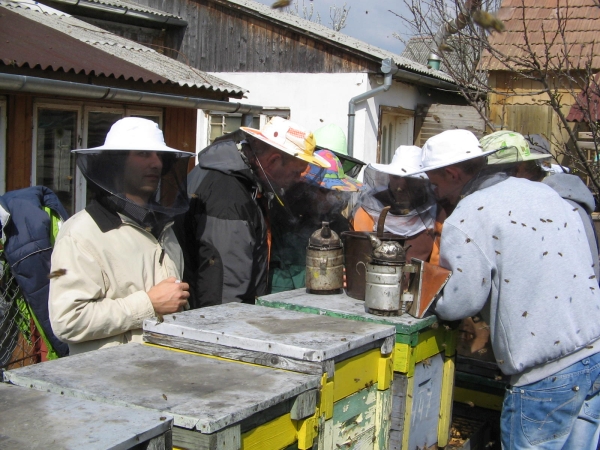 roméániai magyar gazdák méhésztanfolyan
