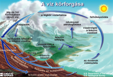 Víz a környezetünkben