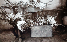 Palocsai Rudolf